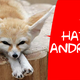 Illustration for article titled Firefox Mobile Wont Be Foxing Up Android Anytime Soon